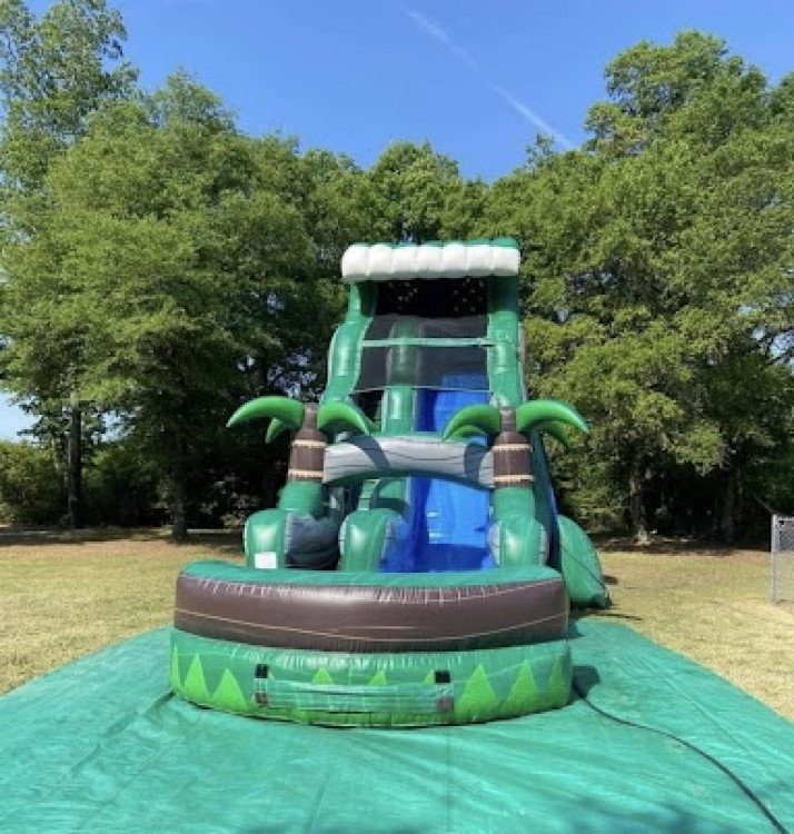 22ft Palm Tree Plunge Water Slide