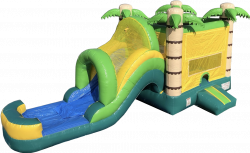 Tropical Tundra Bounce House W/Slide