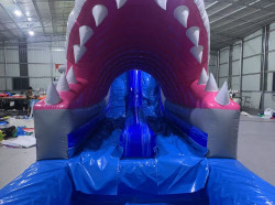 IMG 4910202 1753893025 18ft Jawz Double Slide